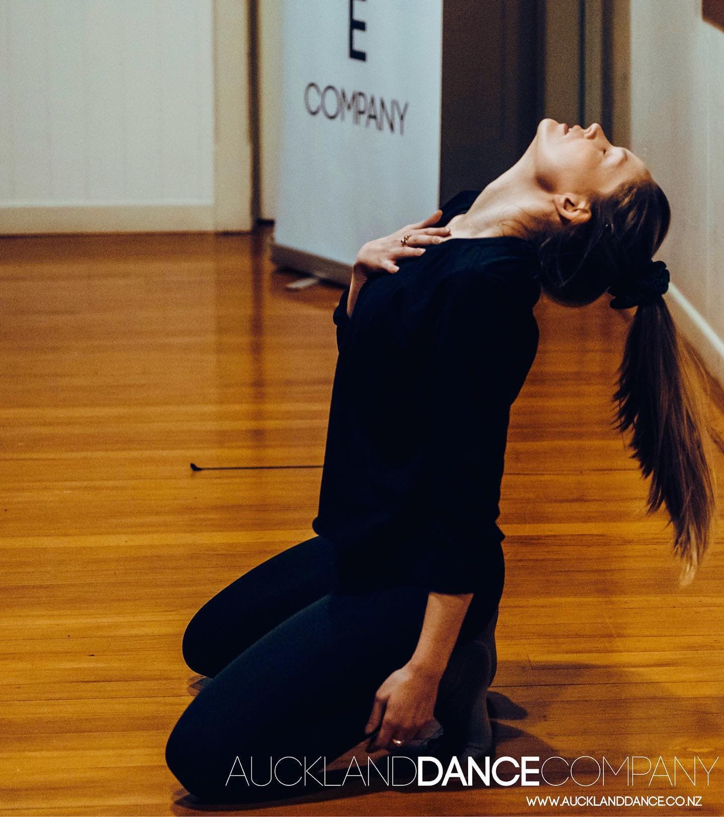 Auckland Dance Company. Albert-Eden, AUCKLAND