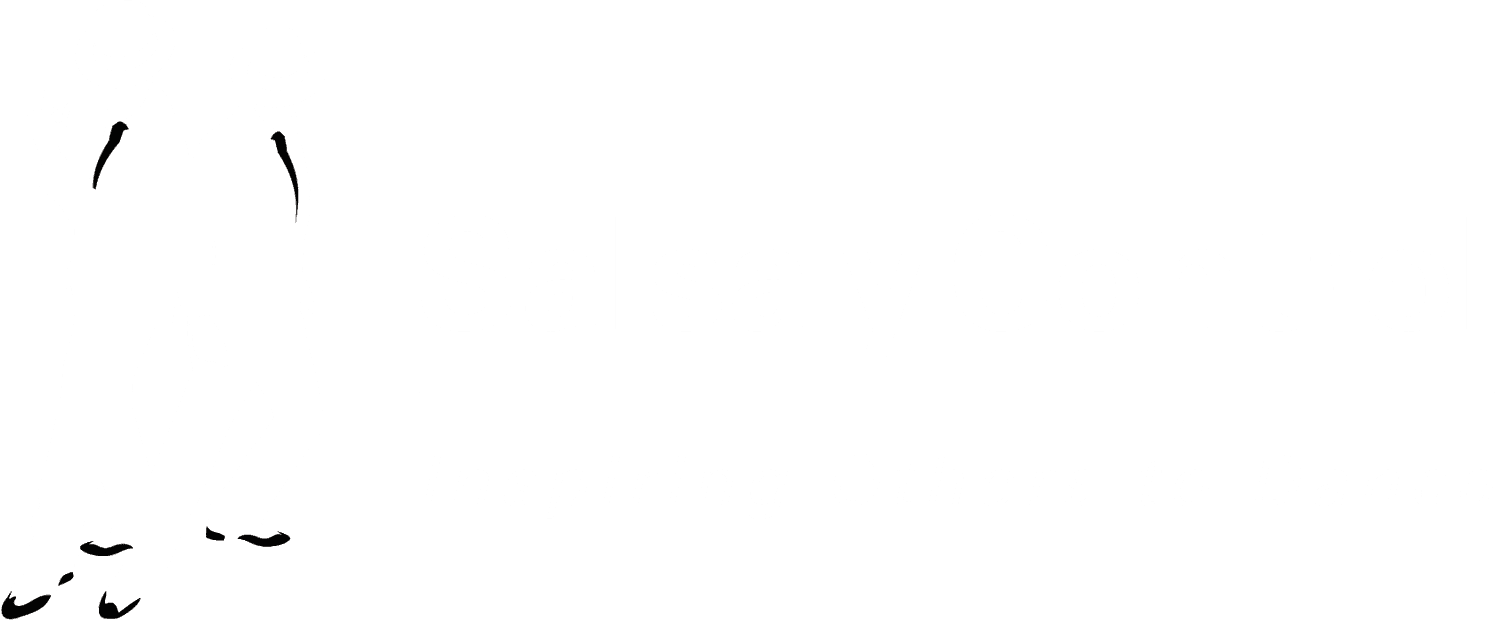 Salsa Y Control Dance Studios. Somerville