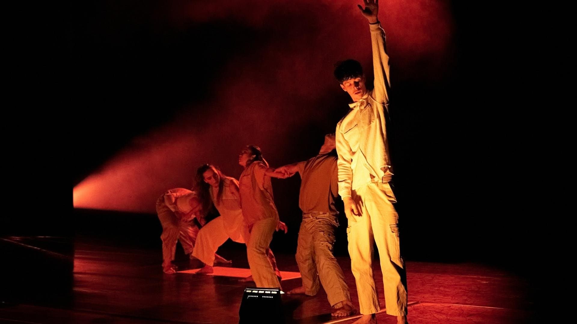 Tarrant Dance Studios. Wellington, WELLINGTON